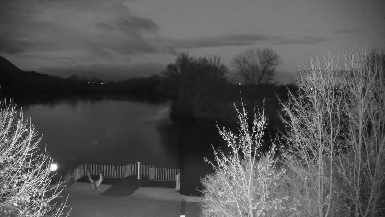 Spletna kamera Ribnik Vrbje – Žalec