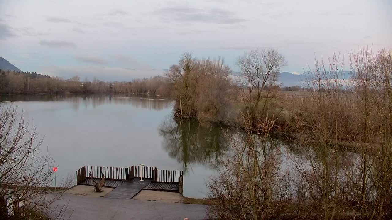 Webcam Ribnik Vrbje – Žalec