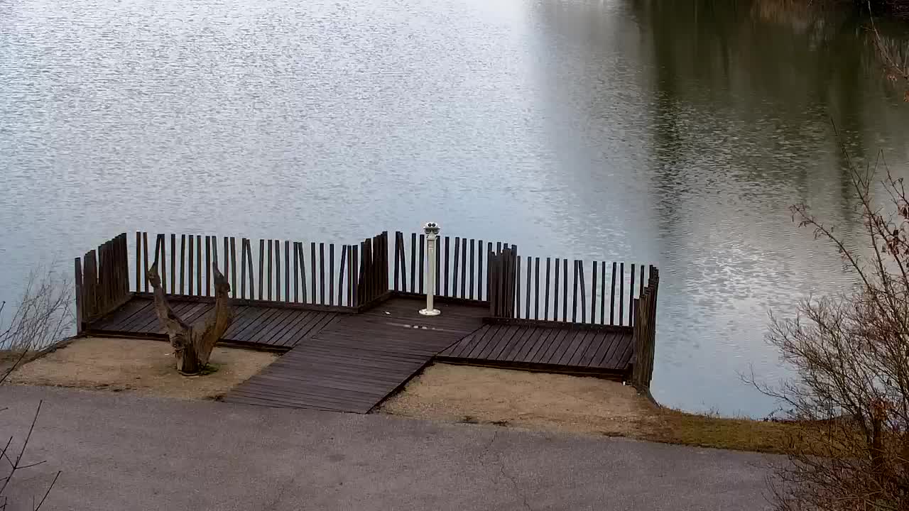 Webcam Ribnik Vrbje – Žalec