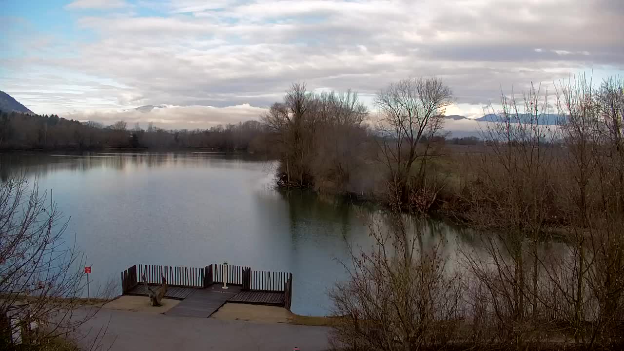 Web kamera Ribnik Vrbje – Žalec