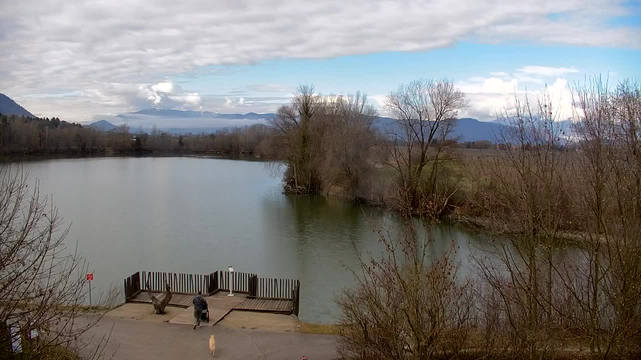 Webcam Ribnik Vrbje – Žalec