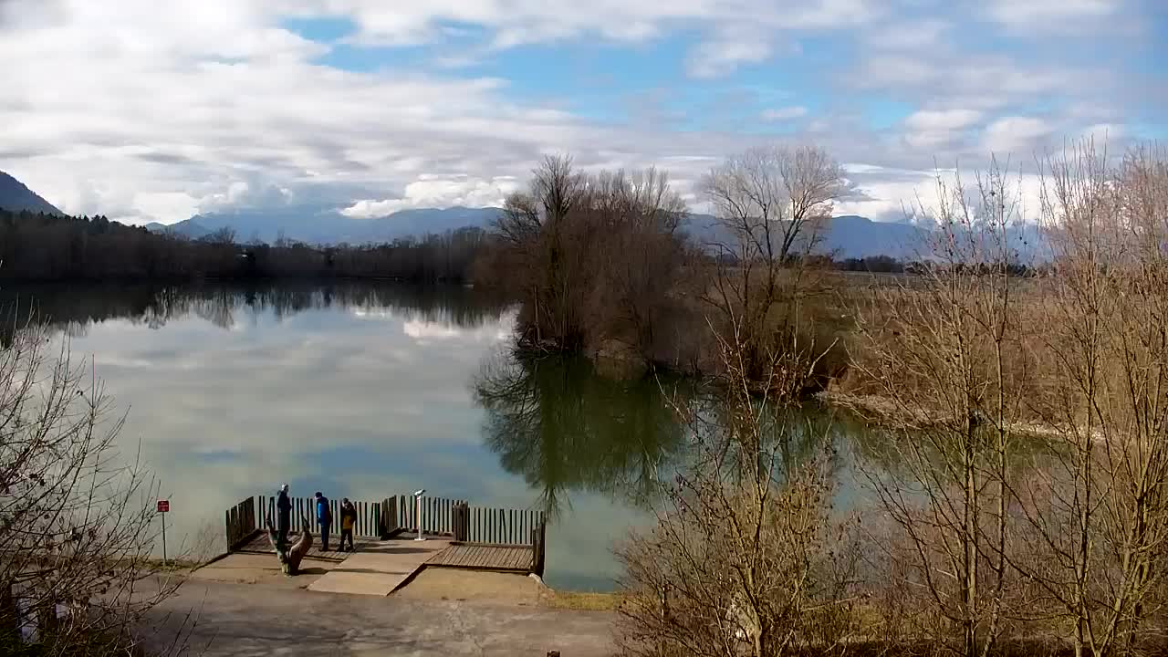 Webcam Ribnik Vrbje – Žalec