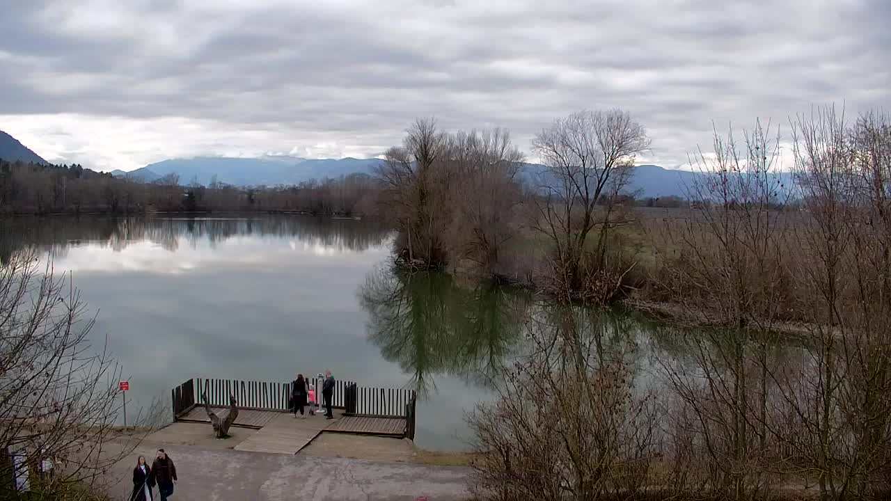 Spletna kamera Ribnik Vrbje – Žalec