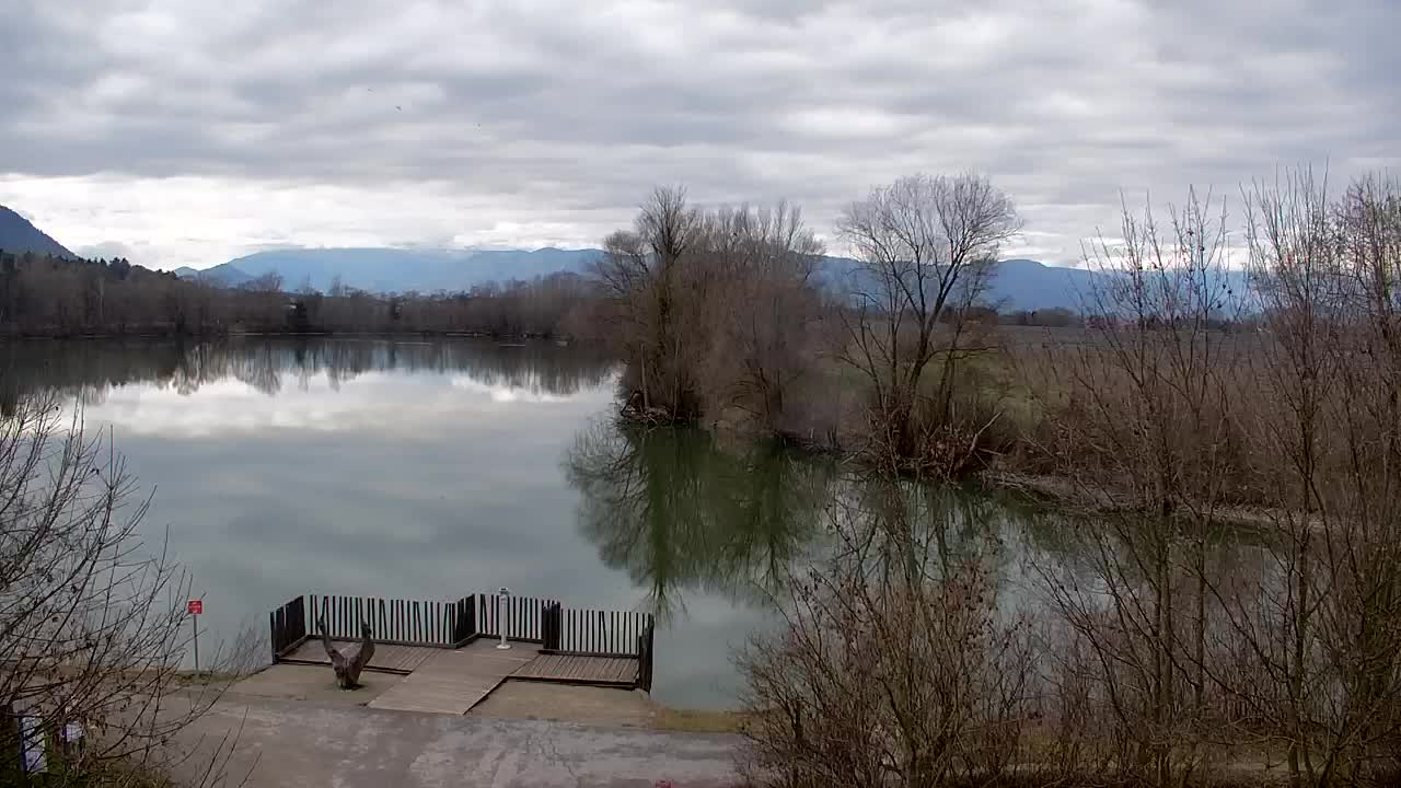 Spletna kamera Ribnik Vrbje – Žalec