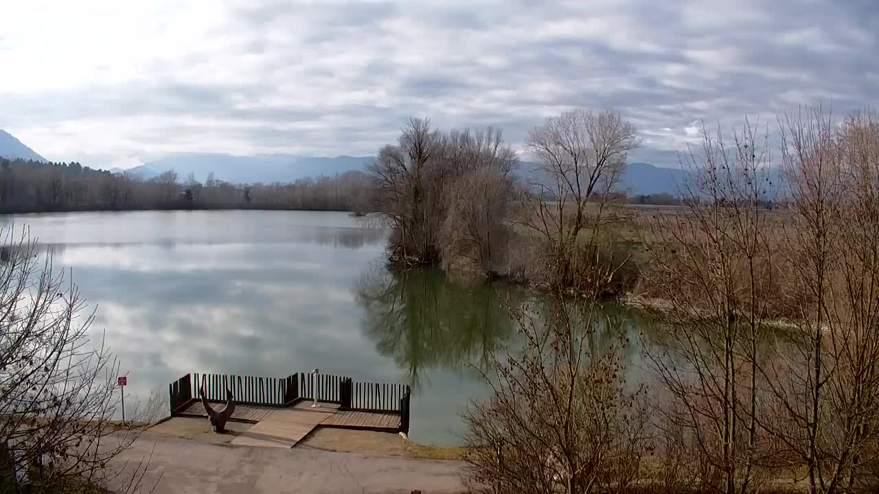 Webcam Ribnik Vrbje – Žalec