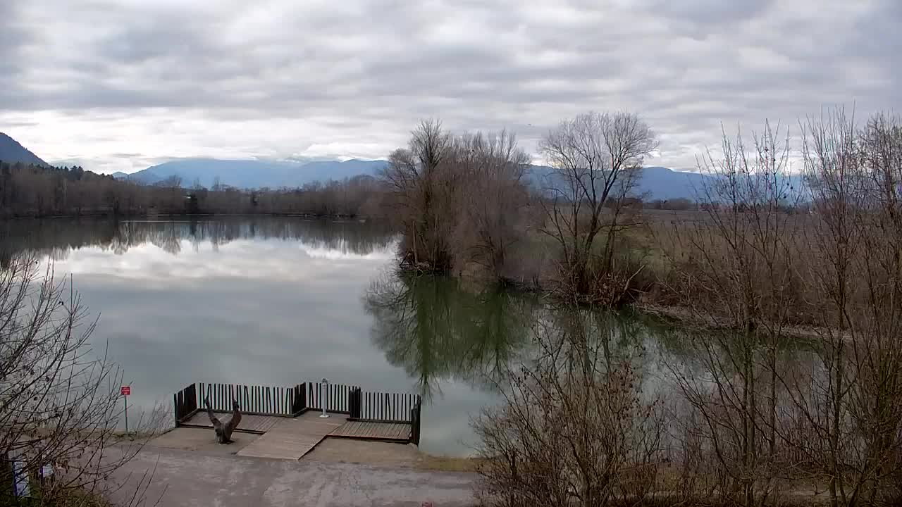 Webcam Ribnik Vrbje – Žalec