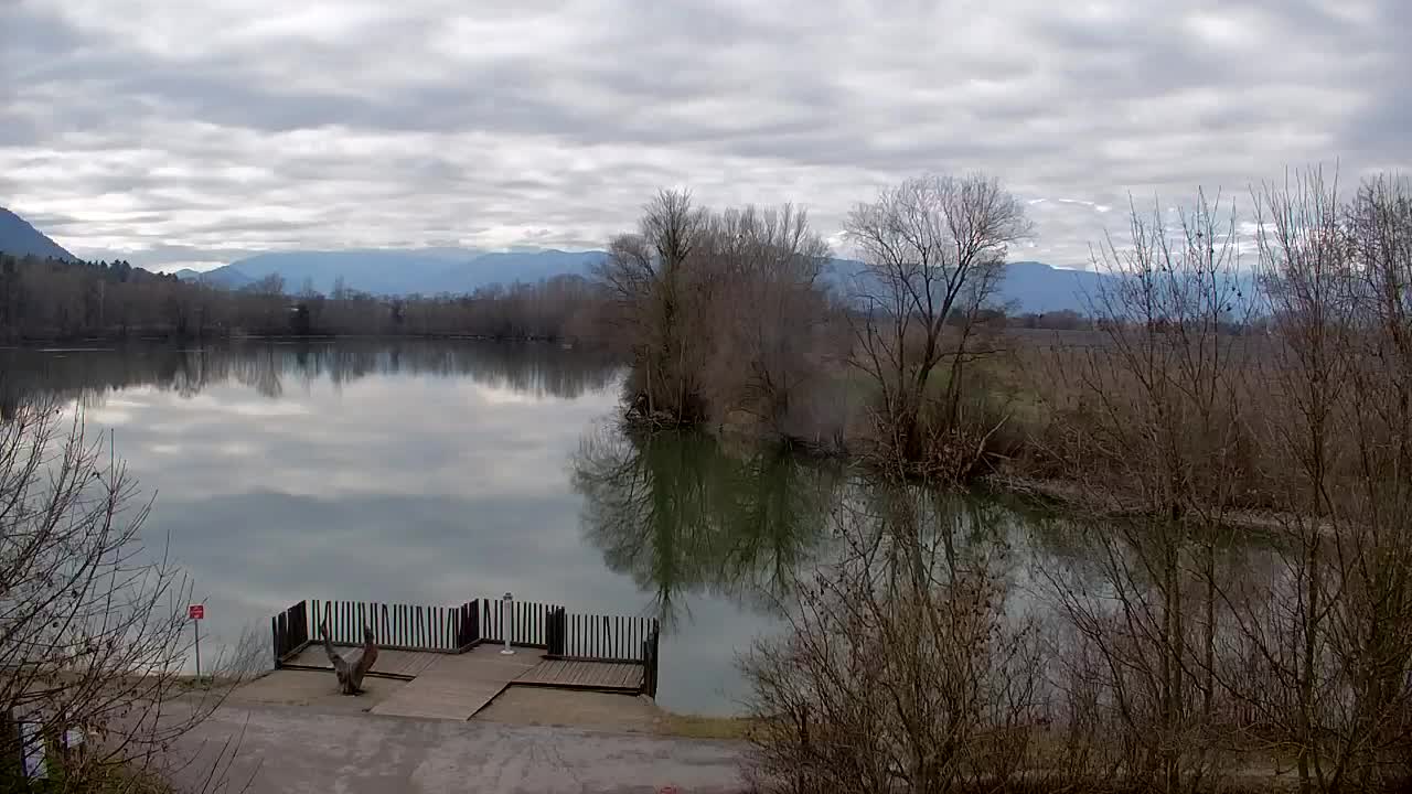 Webcam Ribnik Vrbje – Žalec