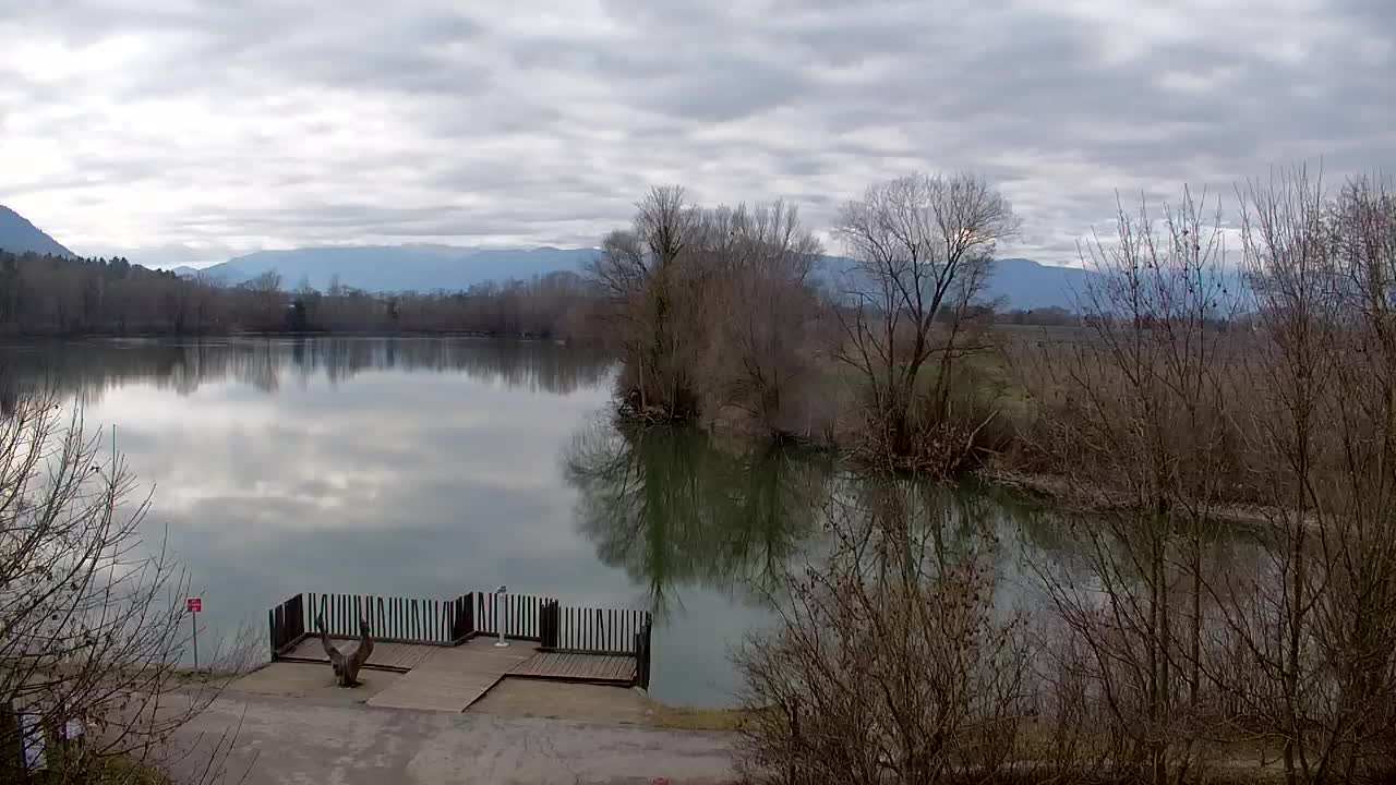 Webcam Ribnik Vrbje – Žalec