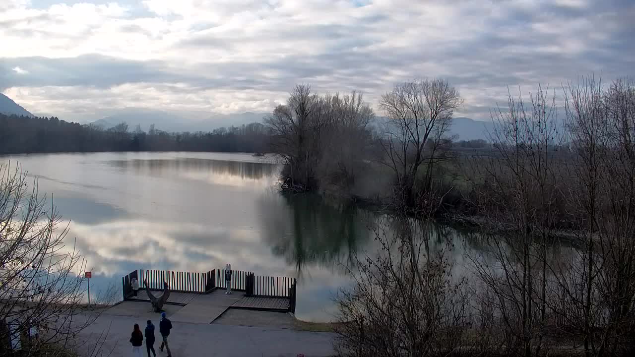 Webcam Ribnik Vrbje – Žalec