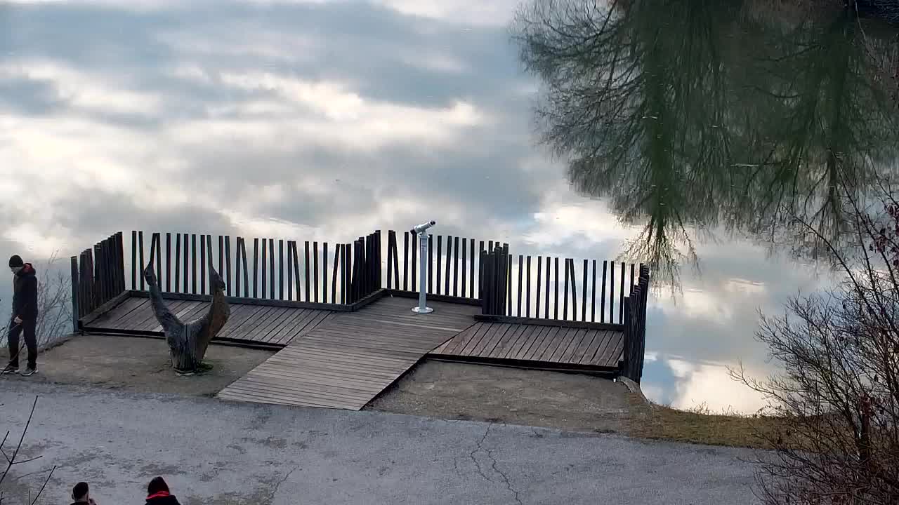 Webcam Ribnik Vrbje – Žalec