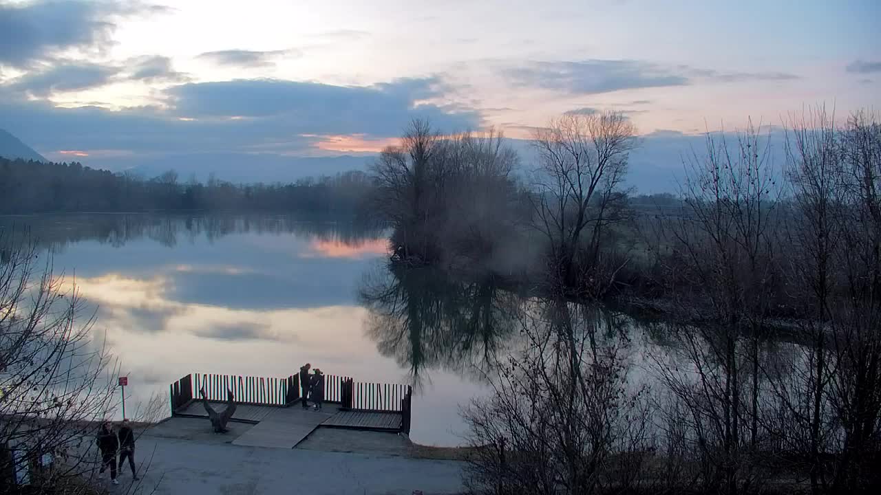 Spletna kamera Ribnik Vrbje – Žalec