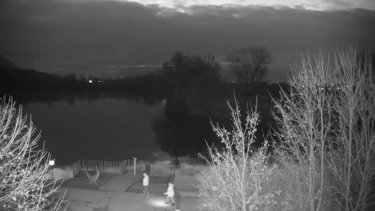 Webcam Ribnik Vrbje – Žalec