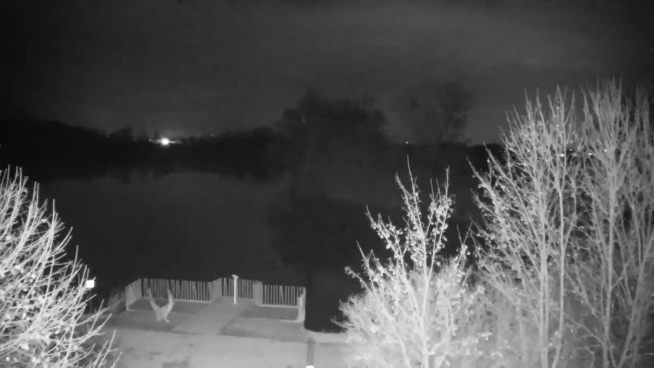 Web kamera Ribnik Vrbje – Žalec