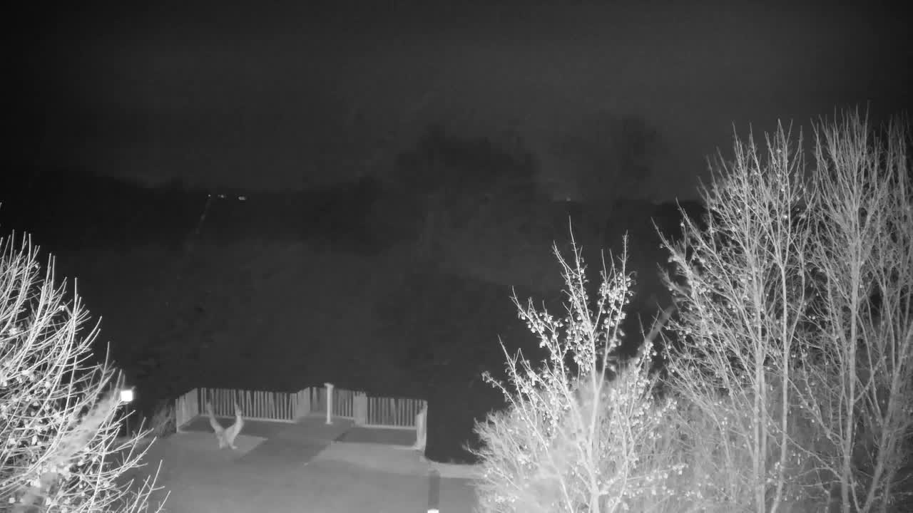 Webcam Ribnik Vrbje – Žalec