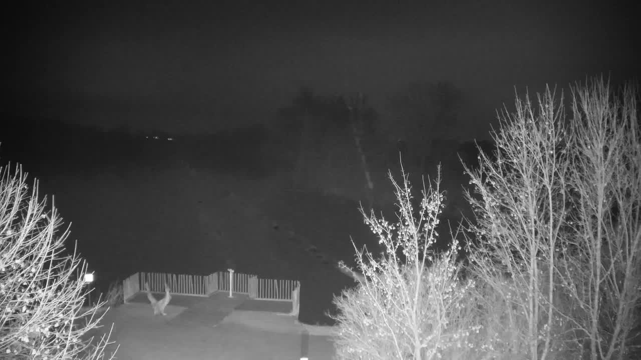 Webcam Ribnik Vrbje – Žalec