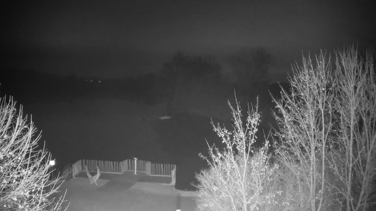 Webcam Ribnik Vrbje – Žalec