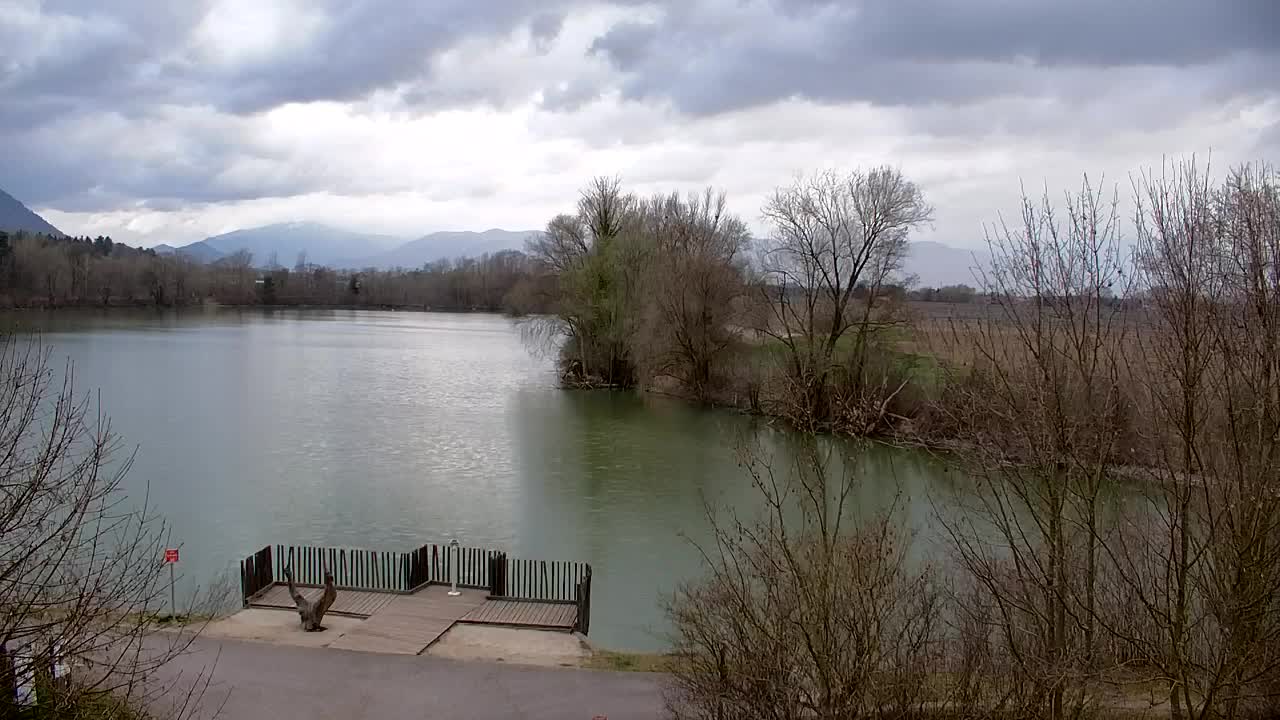 Webcam Ribnik Vrbje – Žalec