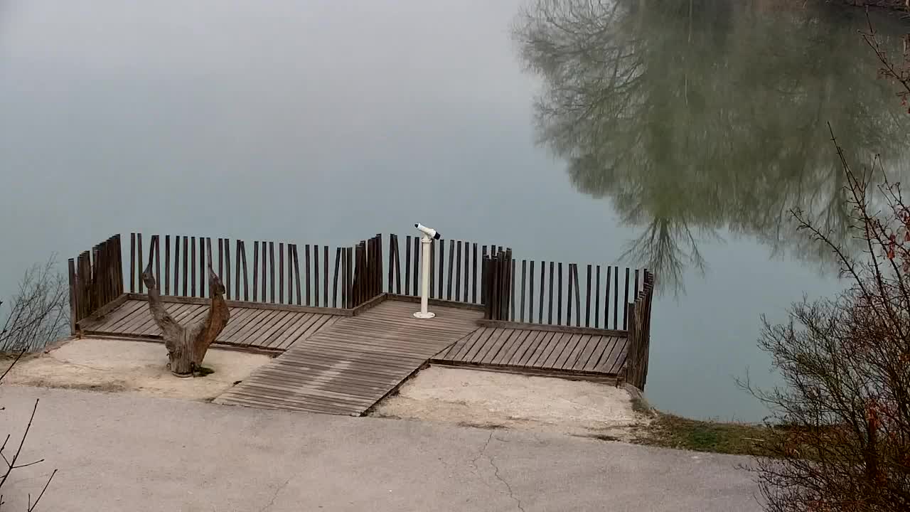 Webcam Ribnik Vrbje – Žalec