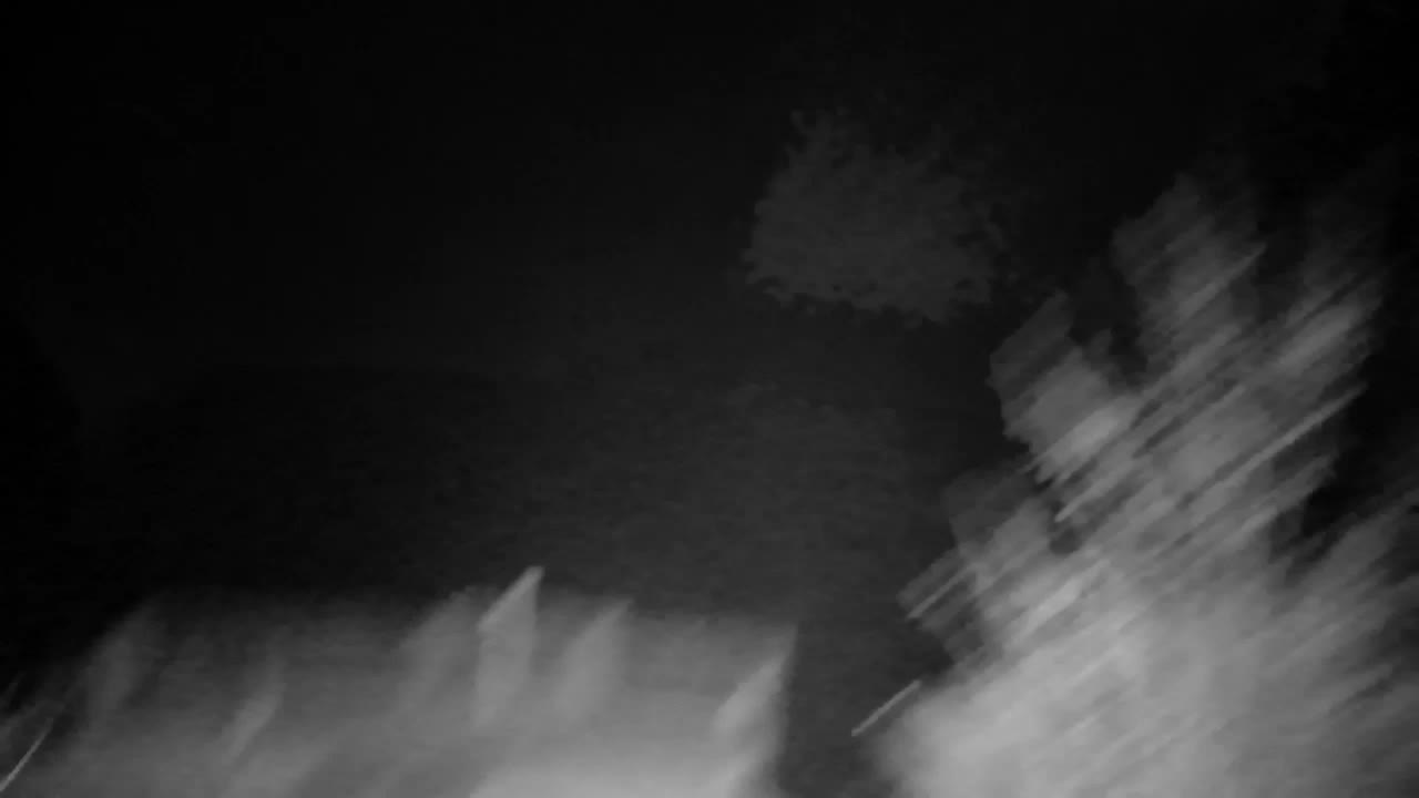 Webcam Ribnik Vrbje – Žalec