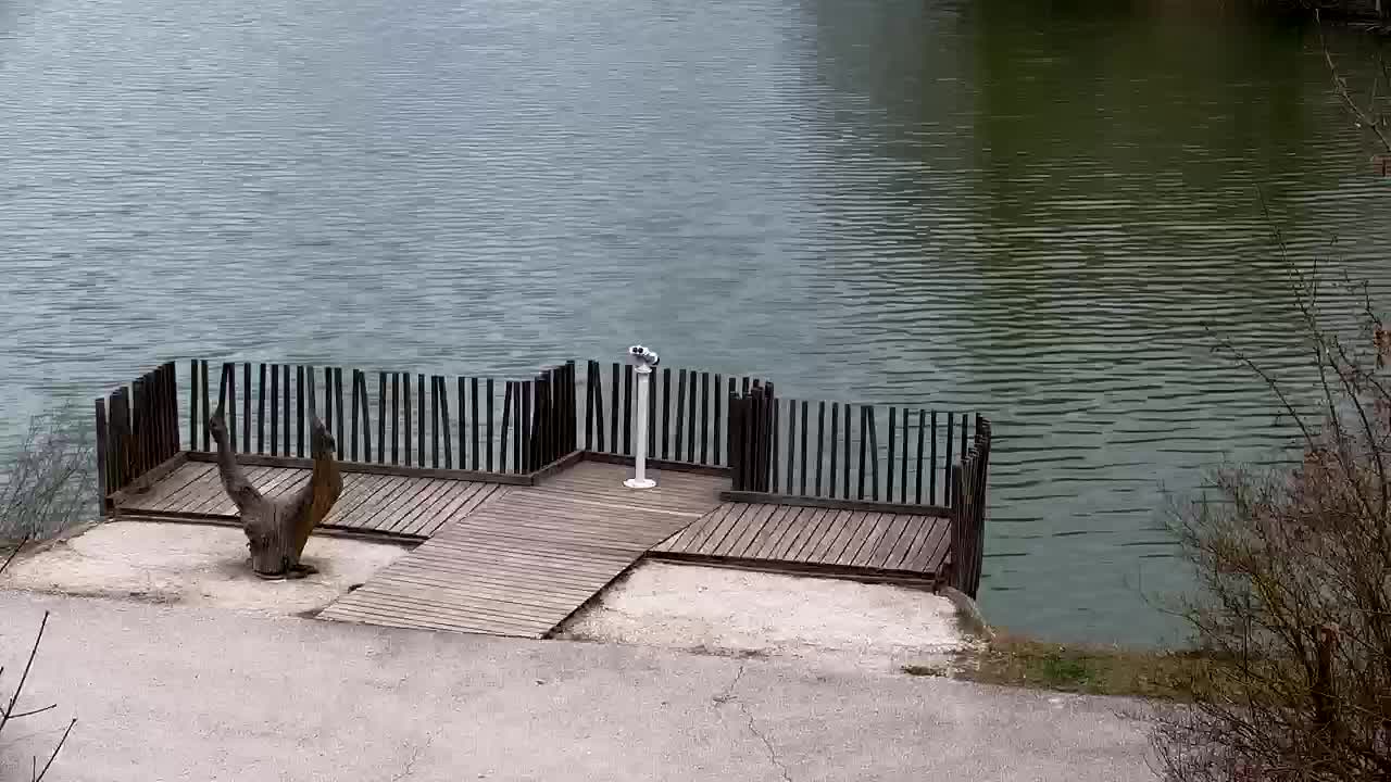 Spletna kamera Ribnik Vrbje – Žalec