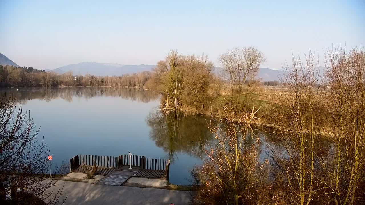 Webcam Ribnik Vrbje – Žalec