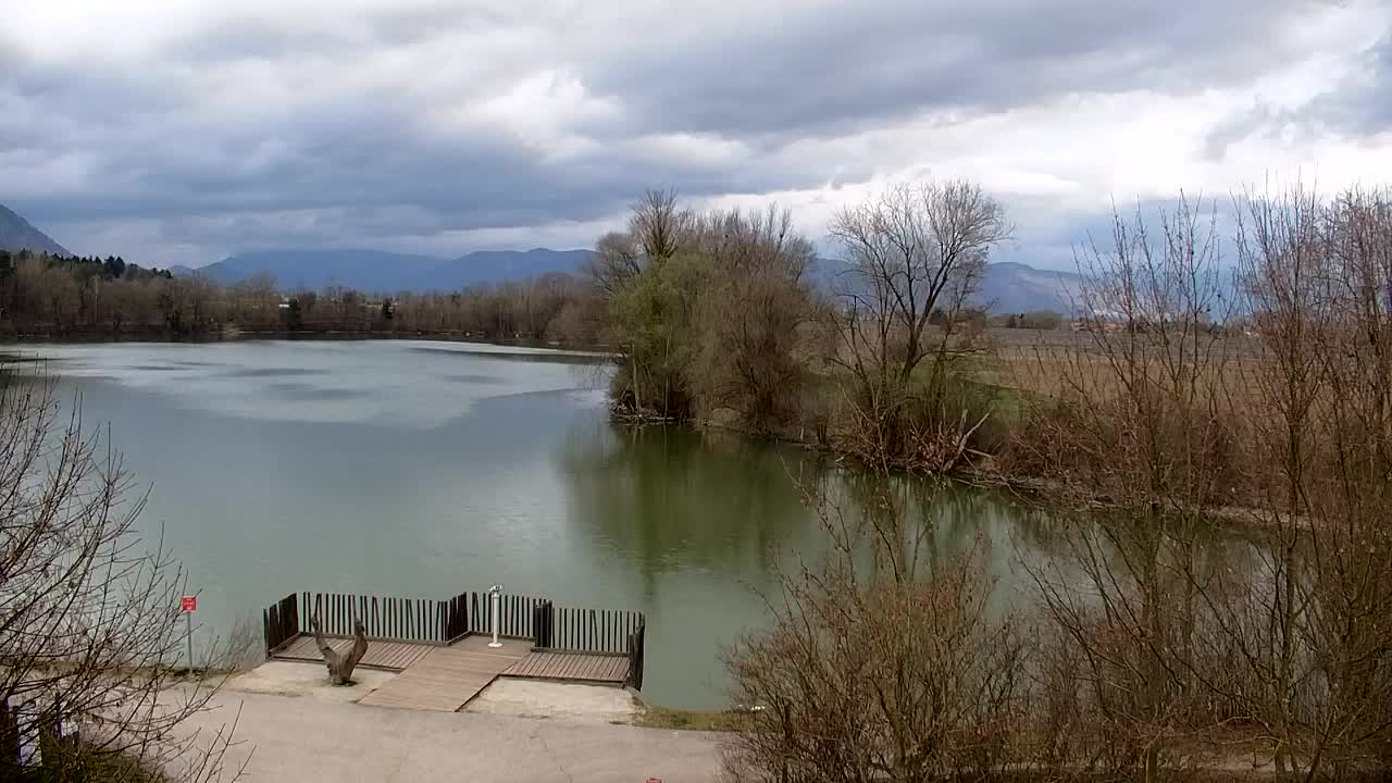 Webcam Ribnik Vrbje – Žalec