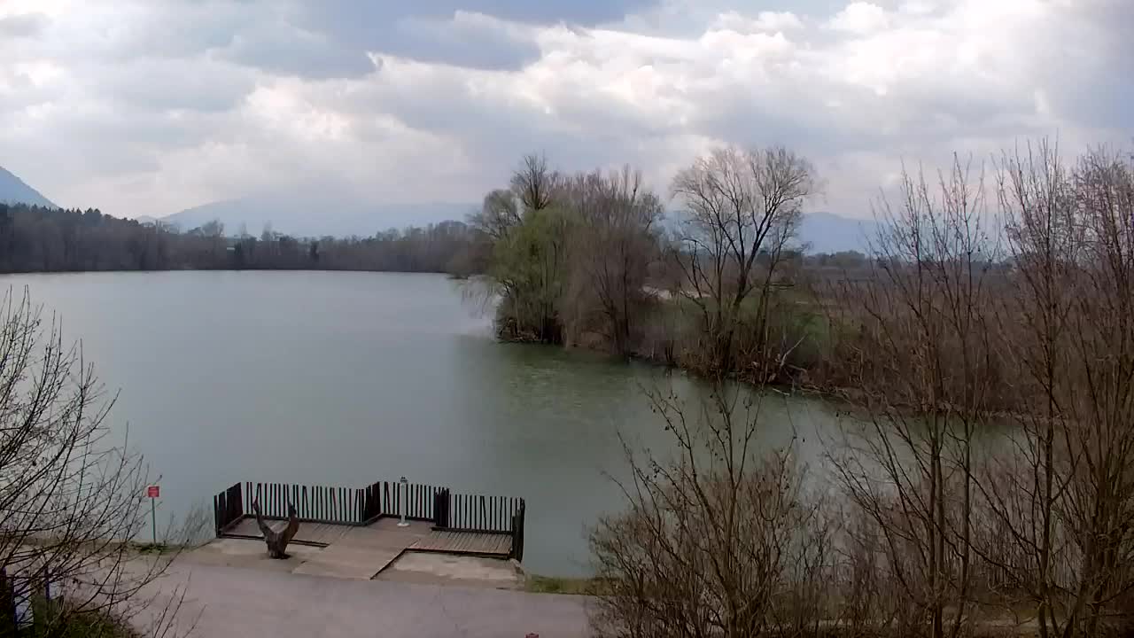 Webcam Ribnik Vrbje – Žalec