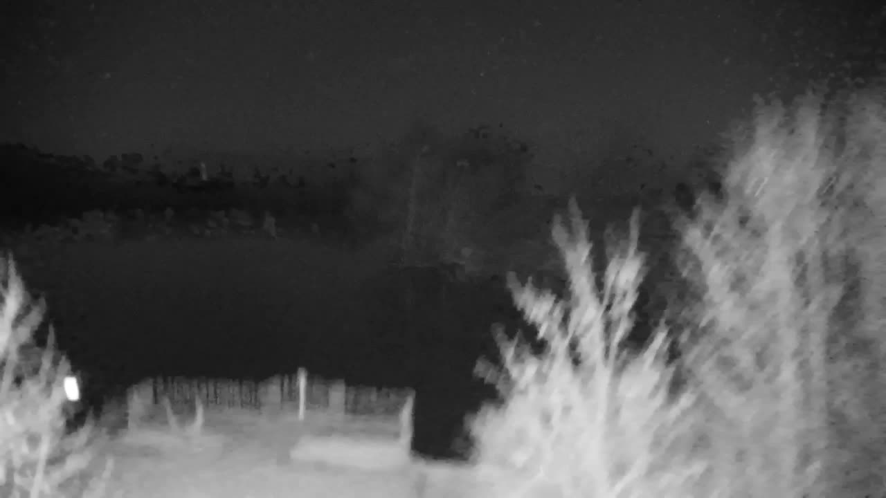 Webcam Ribnik Vrbje – Žalec