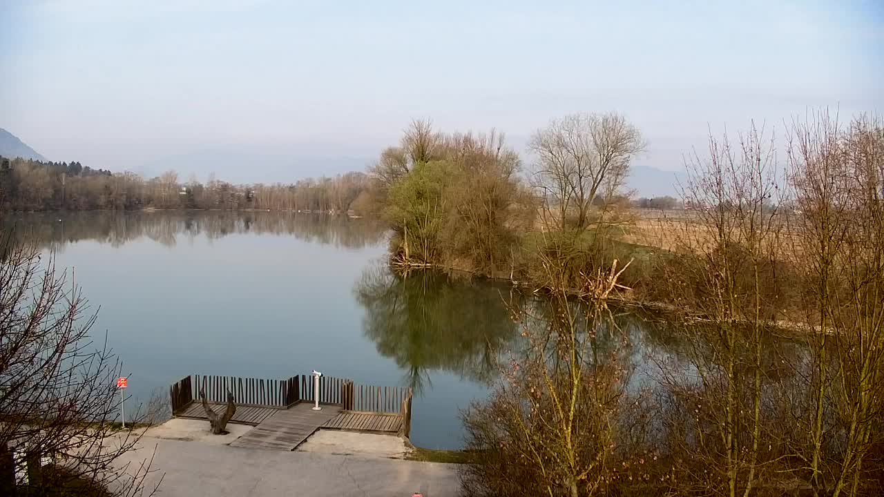 Spletna kamera Ribnik Vrbje – Žalec