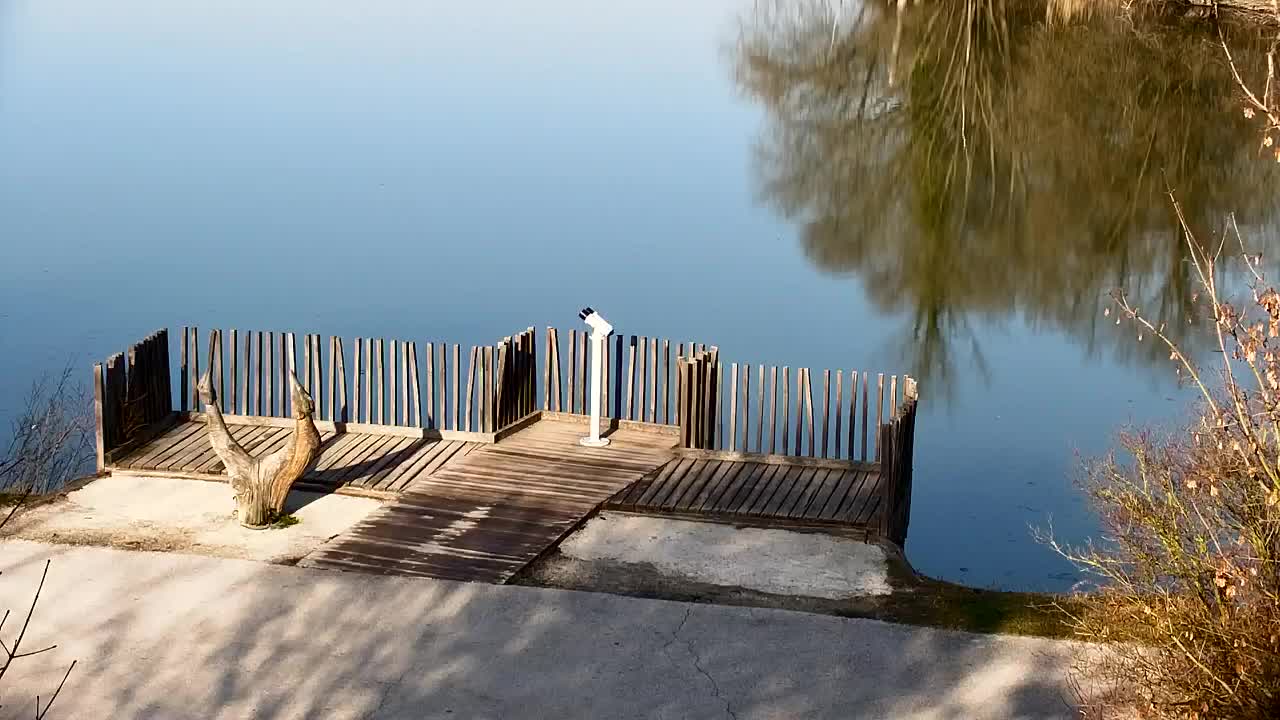 Webcam Ribnik Vrbje – Žalec