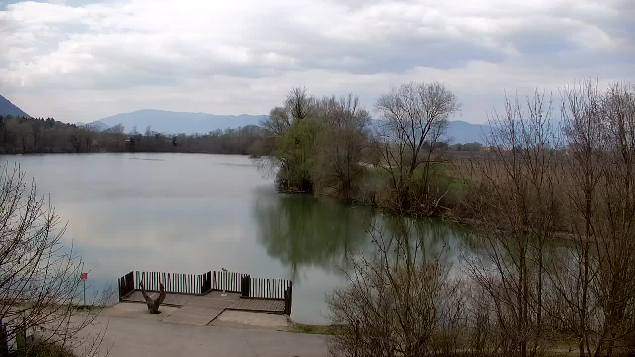 Spletna kamera Ribnik Vrbje – Žalec