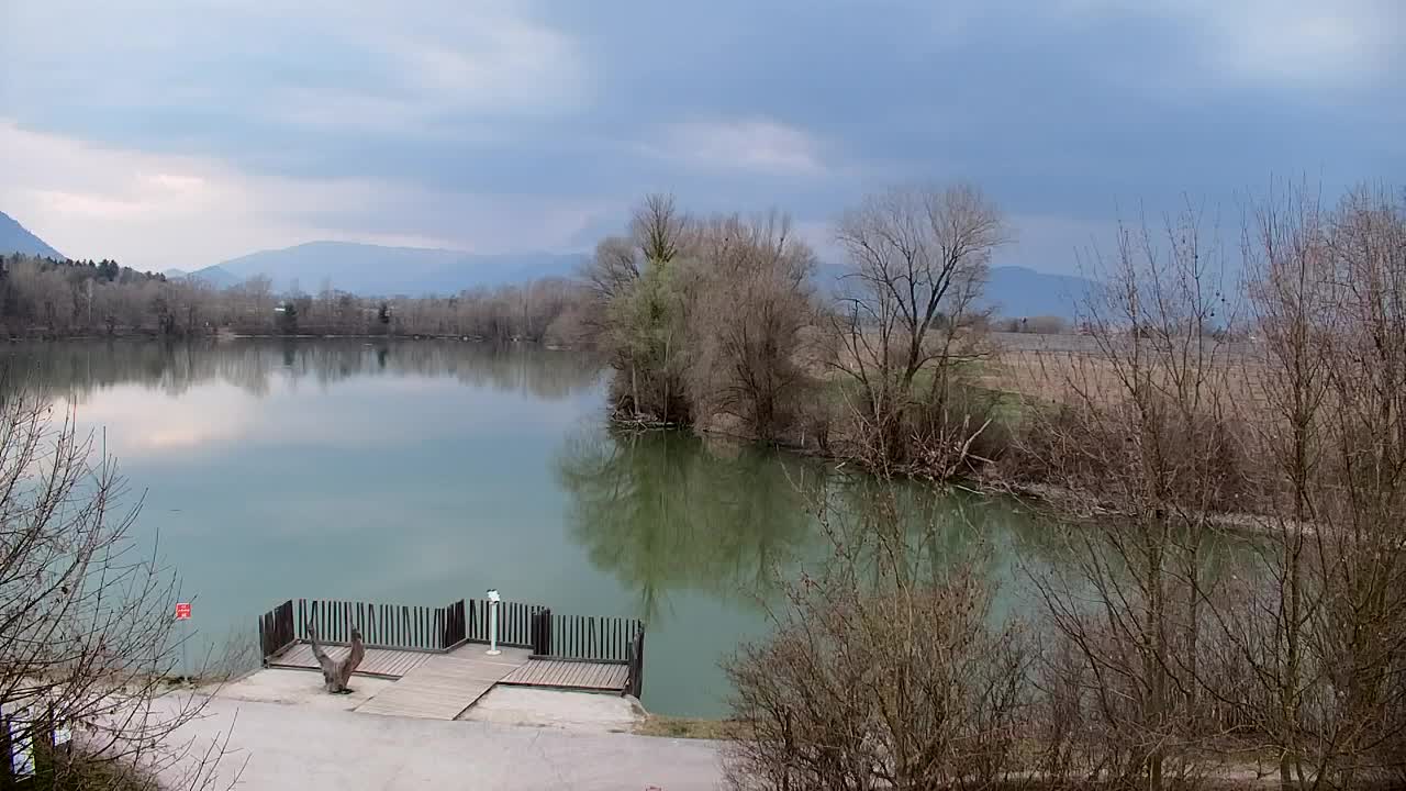 Webcam Ribnik Vrbje – Žalec