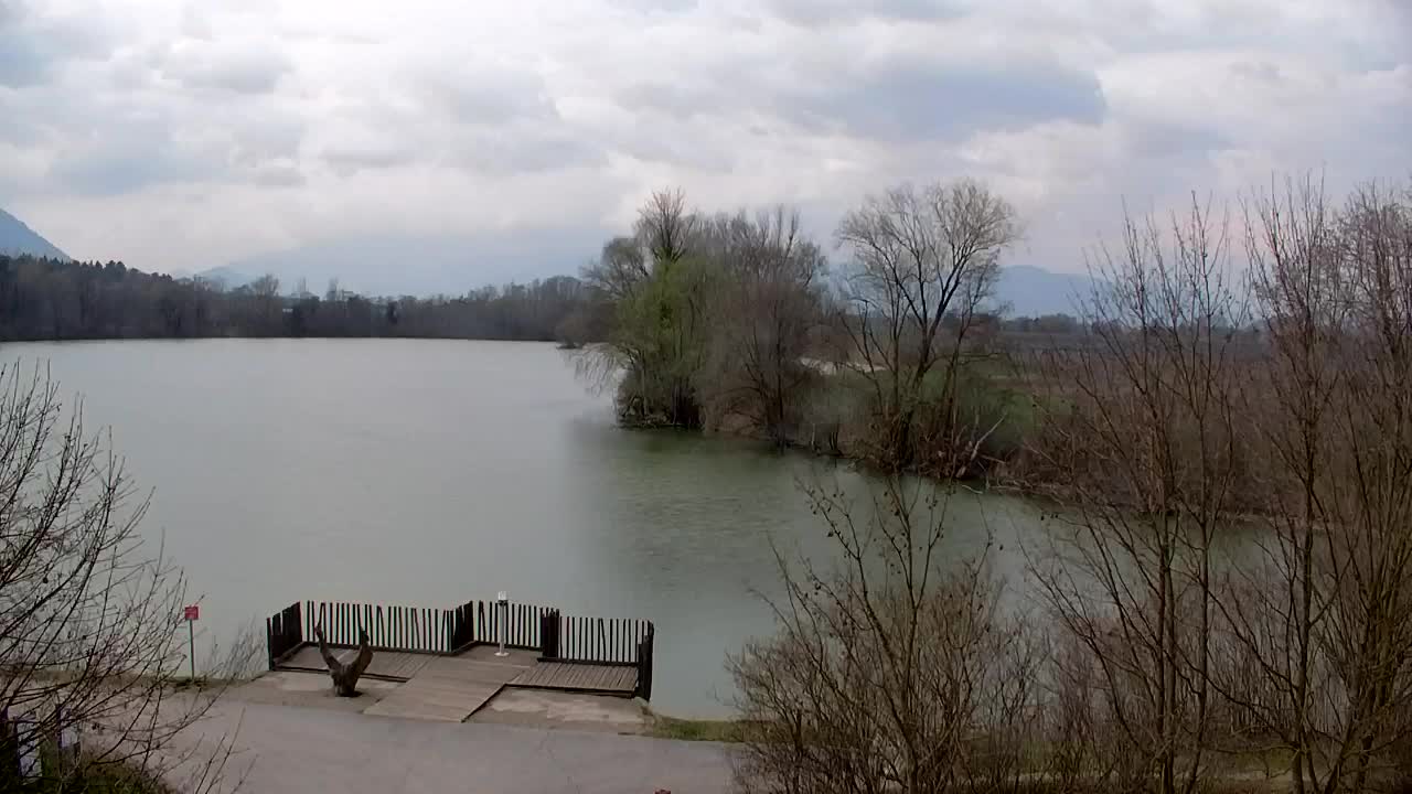 Webcam Ribnik Vrbje – Žalec