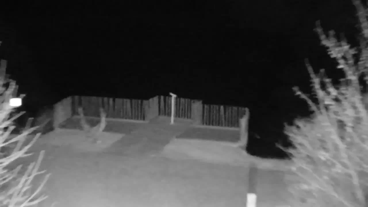 Webcam Ribnik Vrbje – Žalec