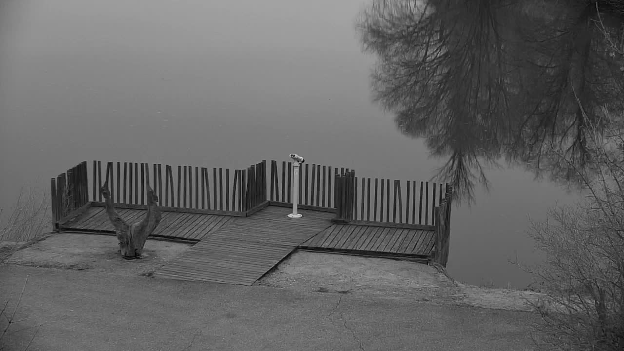 Web kamera Ribnik Vrbje – Žalec