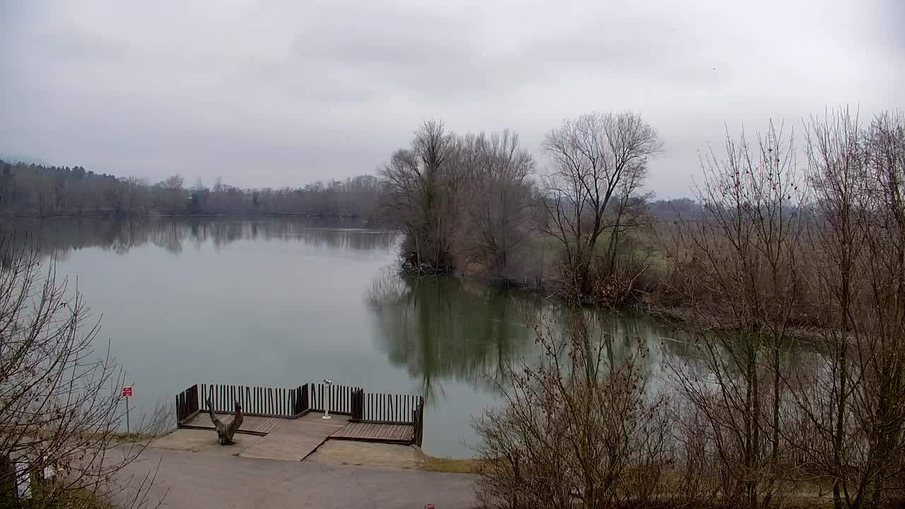 Webcam Ribnik Vrbje – Žalec