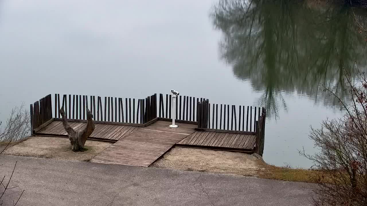 Webcam Ribnik Vrbje – Žalec