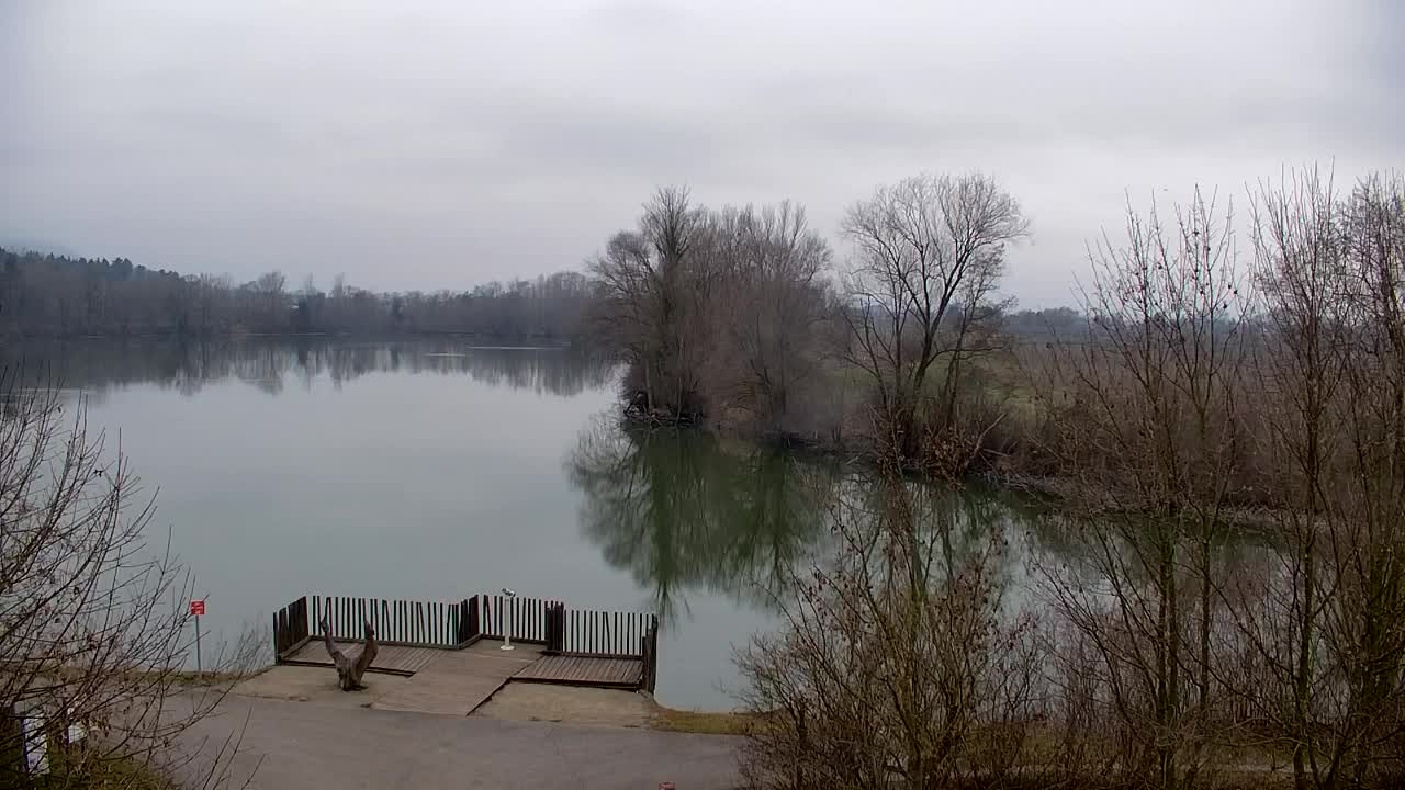 Webcam Ribnik Vrbje – Žalec