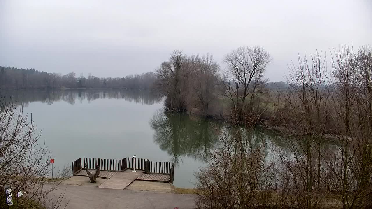 Webcam Ribnik Vrbje – Žalec