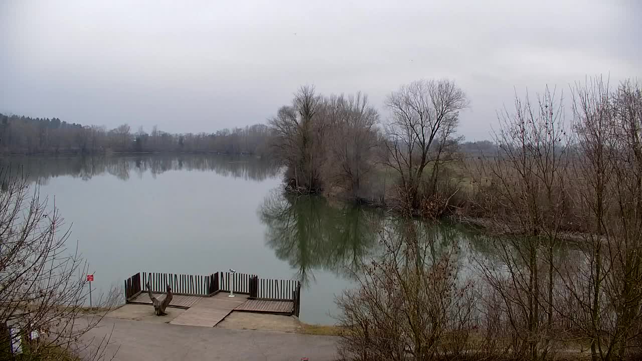 Webcam Ribnik Vrbje – Žalec