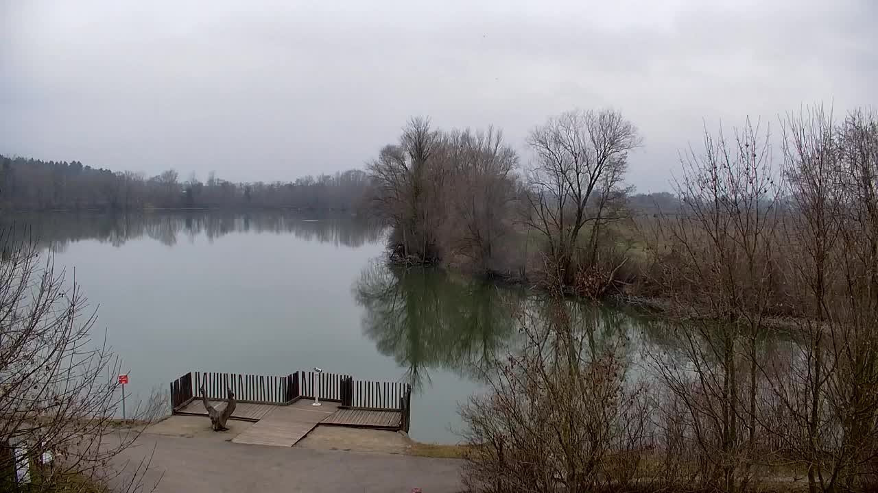 Webcam Ribnik Vrbje – Žalec