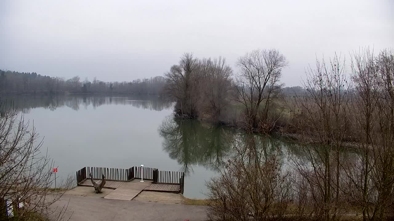 Web kamera Ribnik Vrbje – Žalec