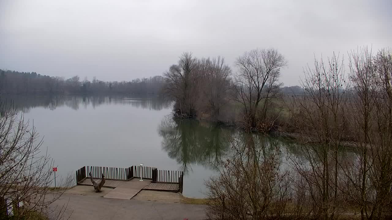 Webcam Ribnik Vrbje – Žalec