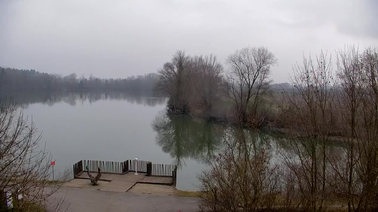 Webcam Ribnik Vrbje – Žalec