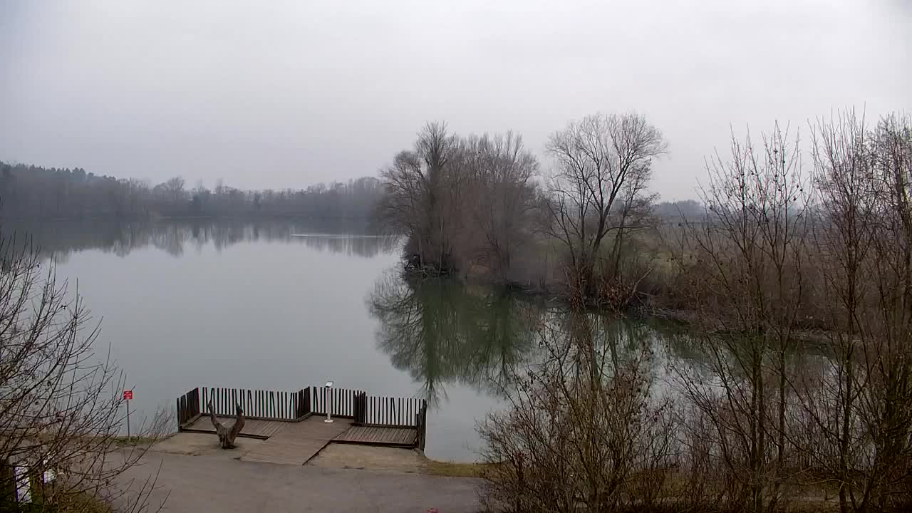 Webcam Ribnik Vrbje – Žalec