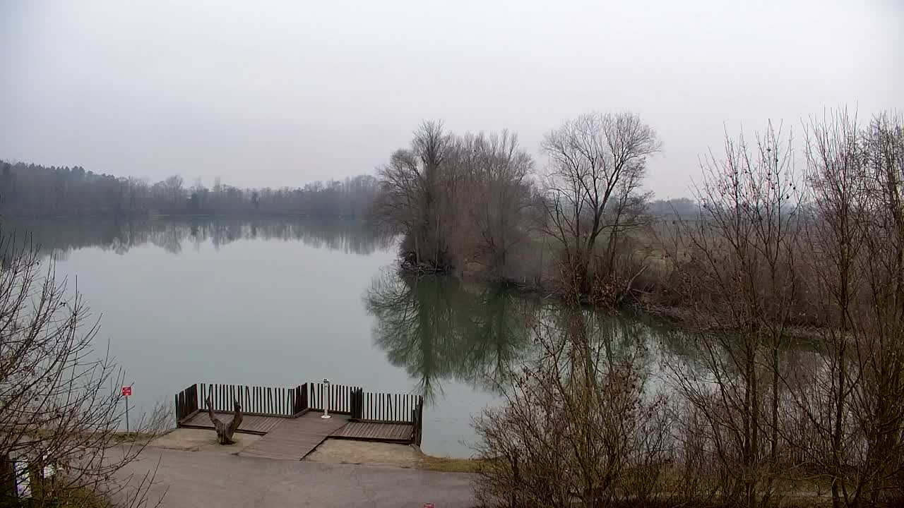 Webcam Ribnik Vrbje – Žalec