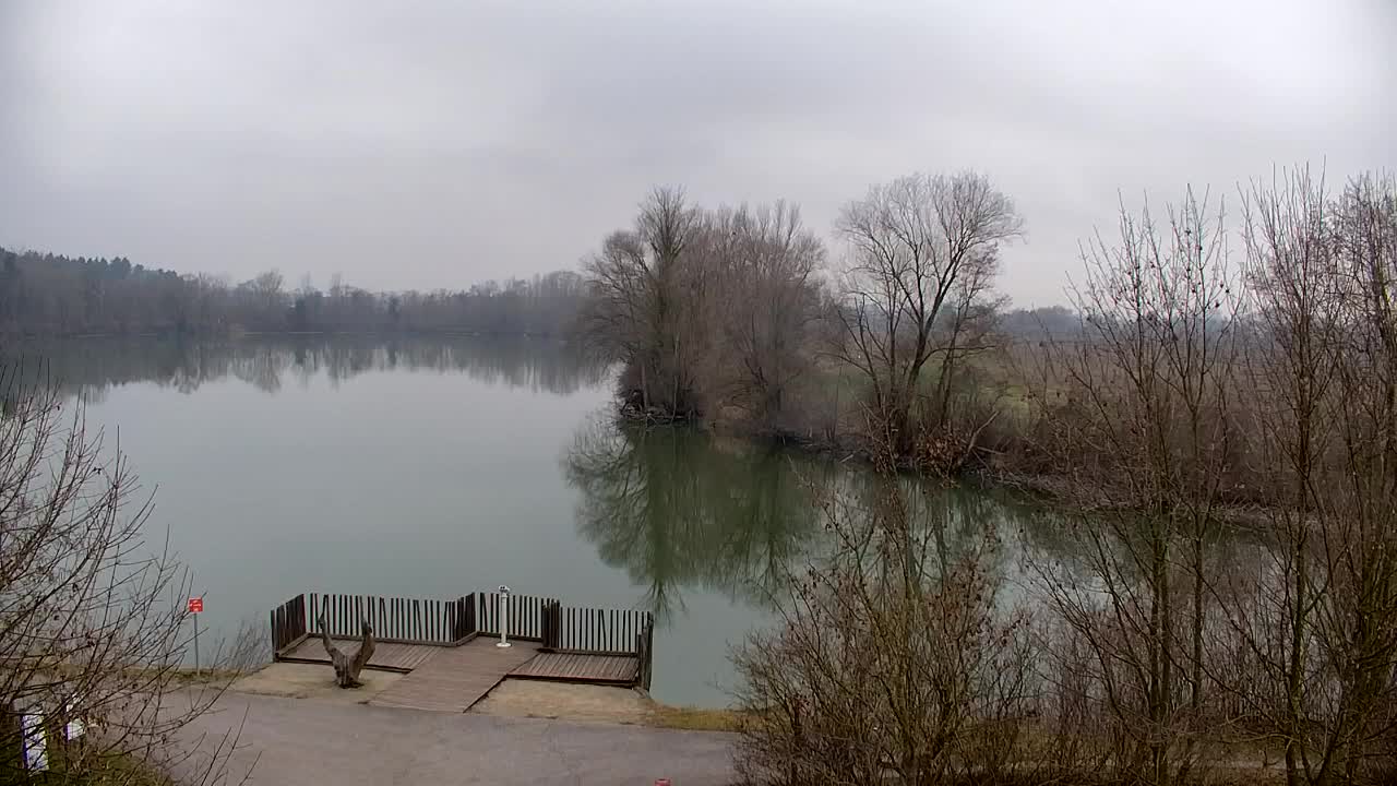 Webcam Ribnik Vrbje – Žalec