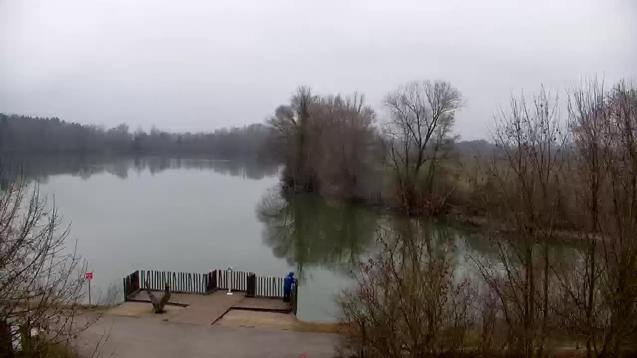 Webcam Ribnik Vrbje – Žalec