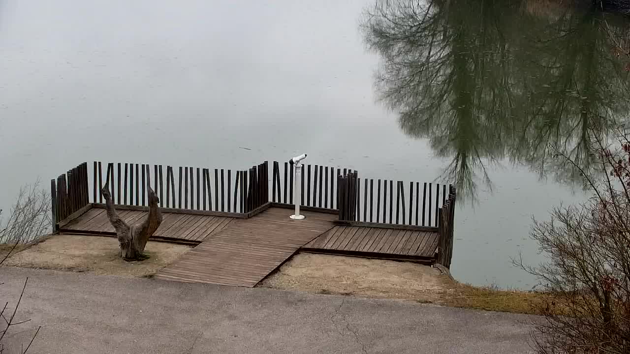 Webcam Ribnik Vrbje – Žalec