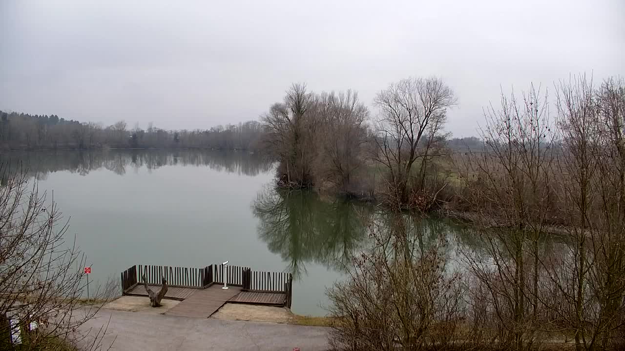 Webcam Ribnik Vrbje – Žalec